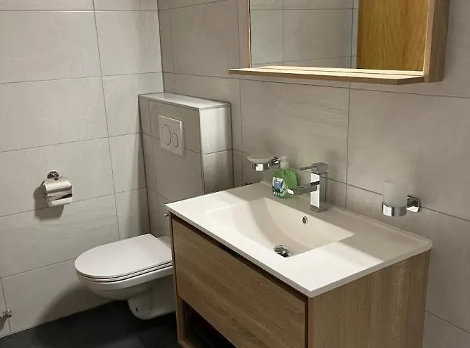 Au Village De Nax, Ravissant 2 Pieces Et Demi Avec Terrasse Nax